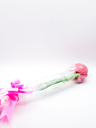 202420036.1.webp