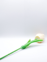 202420037.webp