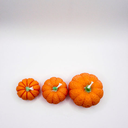 DSCN0289.webp