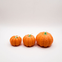 DSCN0288.webp
